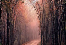 爱游戏下载-夜战训练室！快手「志帅」陈智行的欧洲征途：磨刀霍霍，逆袭王座！