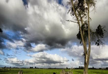 爱游戏官方-意甲惊天冷门!佩斯卡拉浴血斩落蓝黑巨人全记录