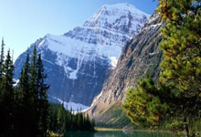 爱游戏在线-绿岛雄狮震欧陆!爱尔兰橄榄球队的霸权时代