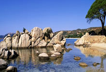 爱游戏下载-摩洛哥瓦赫达迎战西雅图海湾者,防守反击或成致胜关键