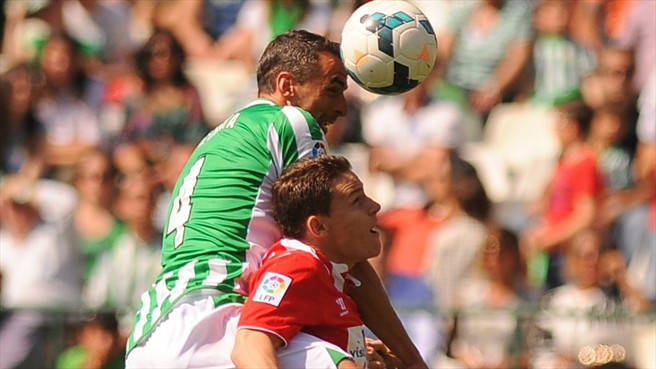 爱游戏在线-帕尔马硬战维罗纳，最终险胜拿下分的简单介绍