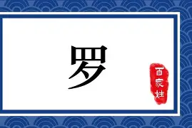 爱游戏-罗特海姆主场告捷，势如破竹